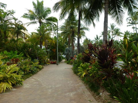 Martinique On Macrossan - Tourism TAS 22
