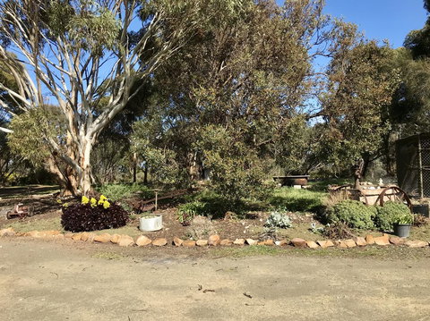 Beeâ€™s Place - 3 Bedroom Home On 10 Acres Of Land With Distant Ocean Views - Tourism TAS 15