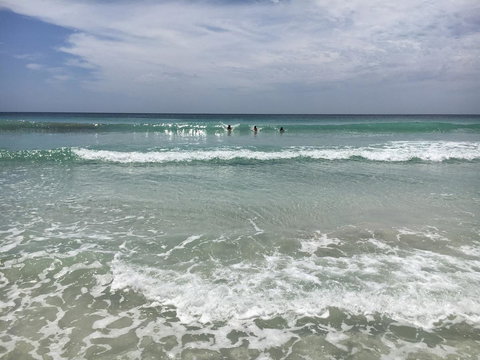 Beeâ€™s Place - 3 Bedroom Home On 10 Acres Of Land With Distant Ocean Views - Tourism TAS 28