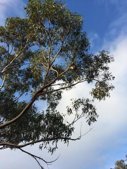 Beeâ€™s Place - 3 Bedroom Home On 10 Acres Of Land With Distant Ocean Views - Tourism TAS 25