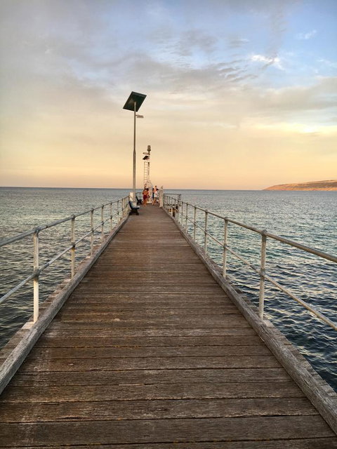 Beeâ€™s Place - 3 Bedroom Home On 10 Acres Of Land With Distant Ocean Views - Tourism TAS 26