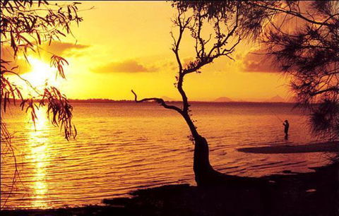 Waterfront At White Patch - Tourism TAS 23