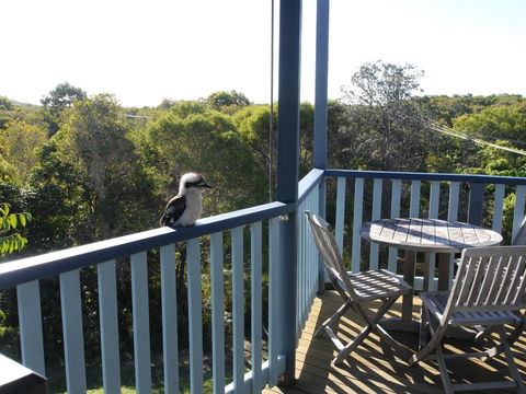 Blue House - Hobart Tourism 0