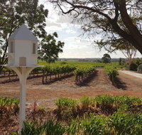'In The Vines' Guest Cottage Barossa Valley - Tourism TAS