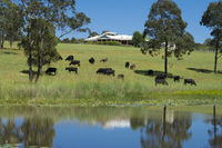 Book Nabiac Accommodation Vacations Hobart Tourism Hobart Tourism