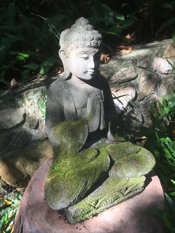 Coolum QLD Tourism TAS