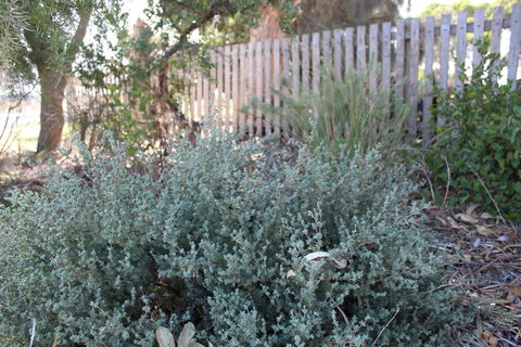 12 Apostles Cottages - Hobart Tourism 2