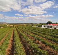 1837 Barossa Luxury Vineyard Cottages - Tourism TAS