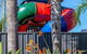 BIG4 Albury Tourist Park - thumb 2