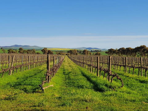 Belalie Wines - Hobart Tourism 3