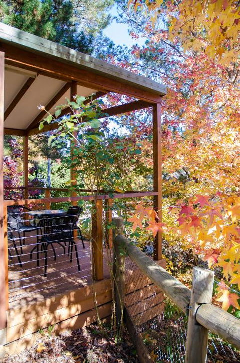 BIG4 Tasman Holiday Parks - Bright - Hobart Tourism 1