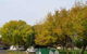 BIG4 Dandenong Tourist Park - thumb 4