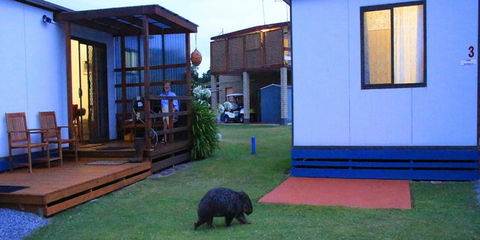 BIG4 Kelso Sands Holiday & Native Wildlife Park - Hobart Tourism 0