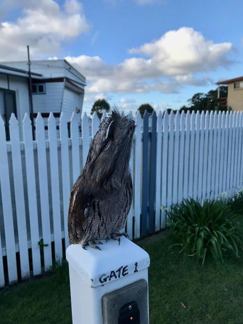 BIG4 Kelso Sands Holiday & Native Wildlife Park - Hobart Tourism 2
