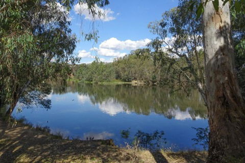 BIG4 Seymour Holiday Park - Hobart Tourism 4