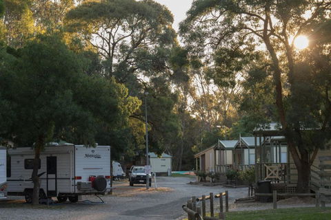 BIG4 Seymour Holiday Park - Hobart Tourism 0