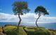 BLAIRGOWRIE VIEWS..front Beach Location Location. - thumb 0