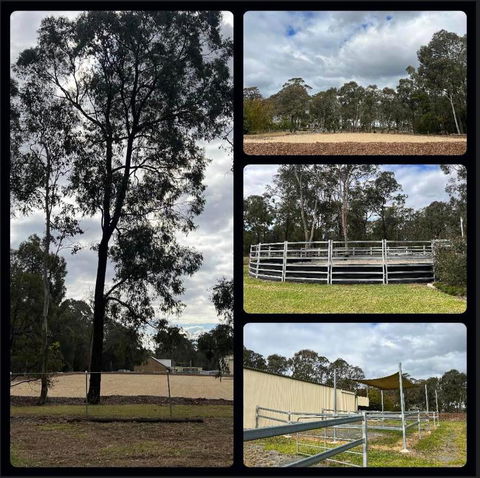 Caballo Retreat Cottage - Hobart Tourism 1