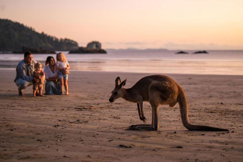 Cape Hillsborough Nature Tourist Park - Hobart Tourism 1