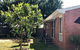 Charlie Sweet Home At Mornington Peninsula - thumb 2