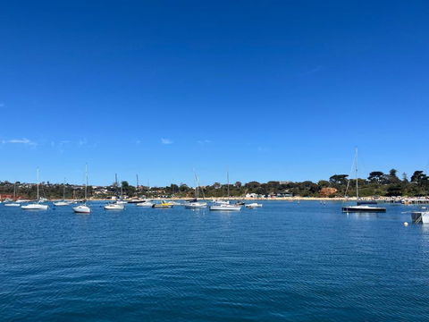 Charlie Sweet Home At Mornington Peninsula - Hobart Tourism 1