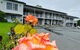 Colonial Lodge Motor Inn - thumb 0