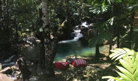 Daintree Secrets Rainforest Sanctuary - Tourism TAS 3