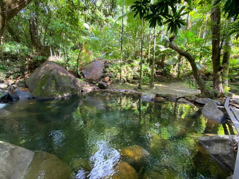 Daintree Secrets Rainforest Sanctuary - Tourism TAS 1