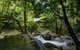 Daintree Secrets Rainforest Sanctuary - thumb 0
