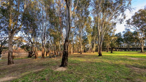 Deniliquin Riverside Caravan Park - Hobart Tourism 3