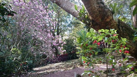 305 Montville - The Artist's Cottage - Tourism TAS 3
