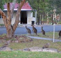 31 The Rocks - Tourism TAS