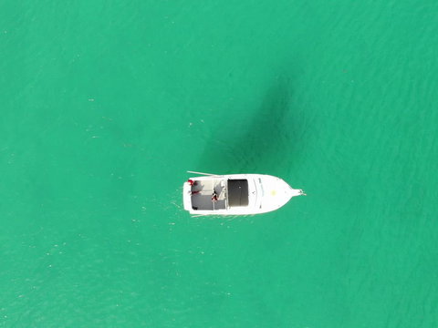 45B Wharf Street Downstairs - Hobart Tourism 3