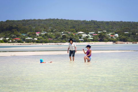 9 Marshall Street - Large Family Holiday Home Just Metres To The Beach - Tourism TAS 0