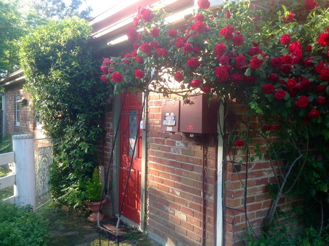 A Country Barn Retreat - Tourism TAS 2