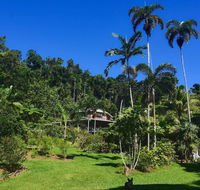 A Daintree Garden - Tourism TAS
