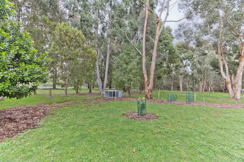 A Grape Escape - Tourism TAS 3