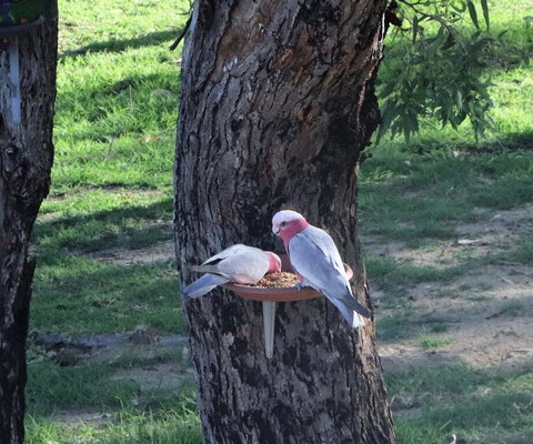 A Stanthorpe Getaway - Tourism TAS 2