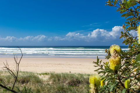 A SWEET ESCAPE - Beachfront Tranquility - Hobart Tourism 3