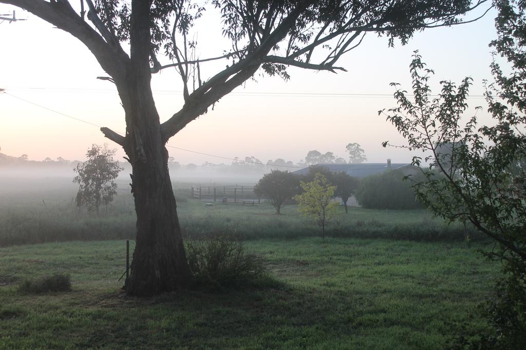 Arbuckle VIC Tourism TAS