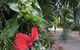 Absolute Beach Frontage, Family Friendly, Home Away From Home - thumb 1