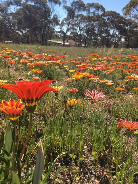 Acclaim Gateway Tourist Park - Hobart Tourism 2