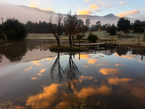 Acheron Acres Riverside - Tourism TAS 2