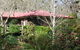 Adelaide Hills B&B Accommodation - thumb 2