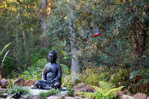 Dorrigo Bush Pepper Retreat - Hobart Tourism 4