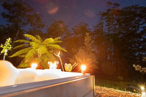 Dorrigo Bush Pepper Retreat - Hobart Tourism 2