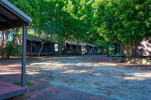 Dorrigo Mountain Holiday Park - Hobart Tourism 2