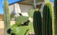 Dreamy Staiz - Riverland Abode - thumb 2