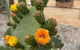 Dreamy Staiz - Riverland Abode - thumb 4