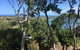 DRIFTWOOD- Hidden Gem, Great View In A Nature Setting - thumb 2